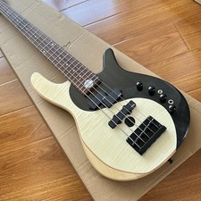 5 string electric bass guitar