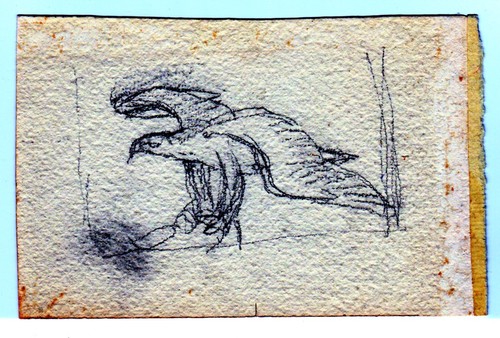 Tunnicliffe pencil sketches - tunnicliffe:,
