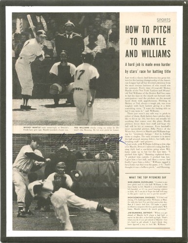 Ted williams magazine - ted,