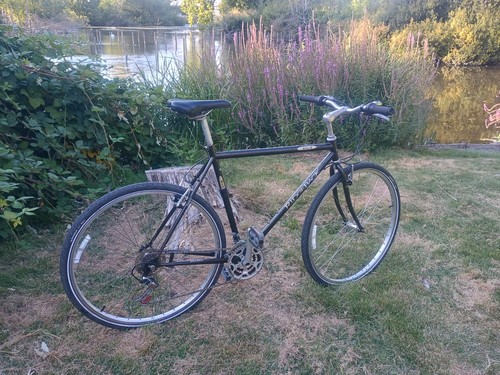 Retro ridgeback hybrid bike - hybrid,