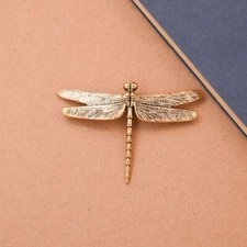 Elegant Miniature Dragonfly