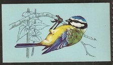TETLEY (TEA)-BRITISH BIRDS