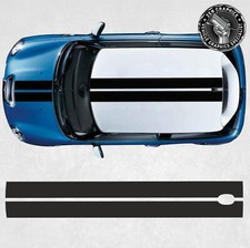 Exact Spec Roof Stripes for