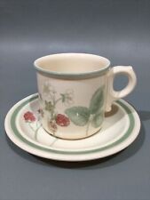 Wedgwood “ Raspberry Cane “ Oven To Table Cup & Saucer