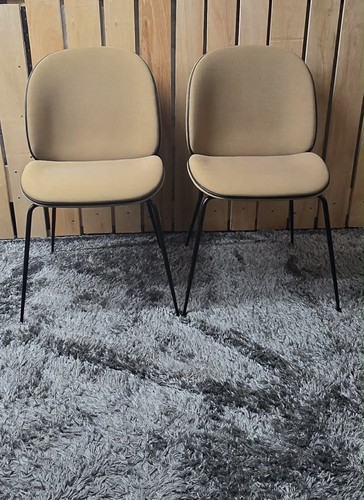 Pair genuine gubi beetle - of,