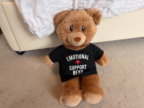 Great condition build - great, bear