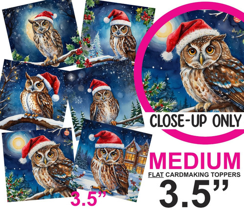 Christmas woodland owls card - christmas,