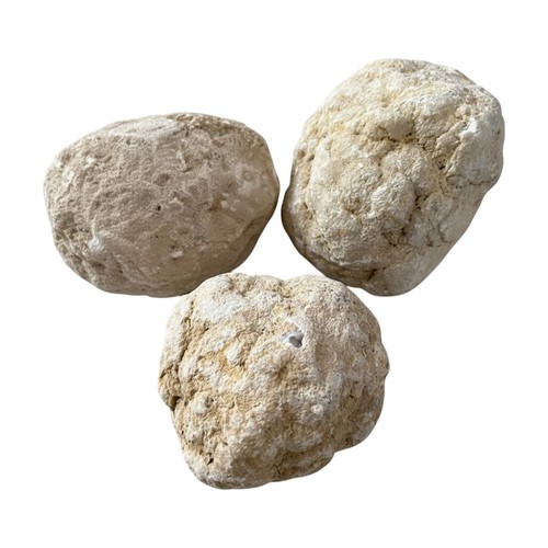 Uncracked geodes small - uncracked,