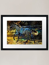 Appaloosa horse walking �