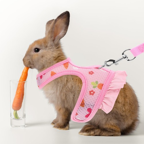 Bunny harness and - harness, leash