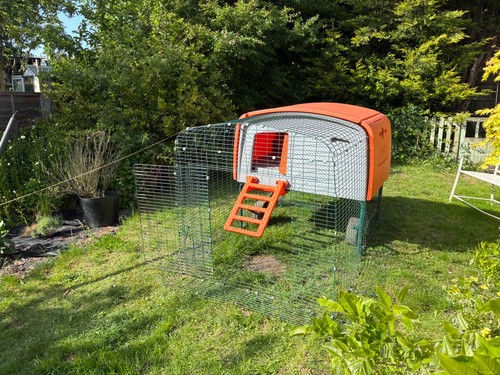 Omlet eglu cube - orange,
