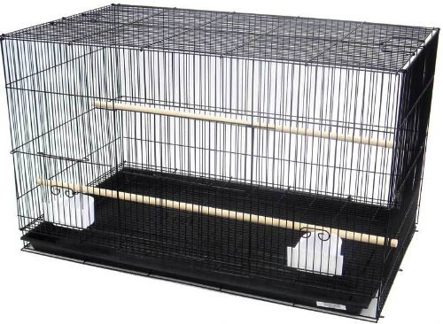 Breeding breeder bird flight - breeding,