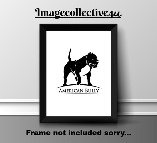 American bully pet dog - american,