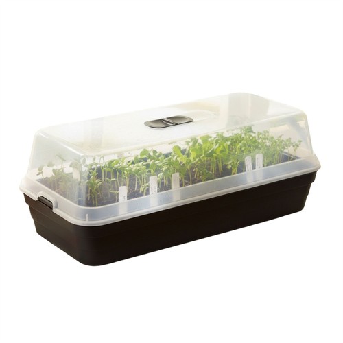 Seed tray propagator with lid - seed,