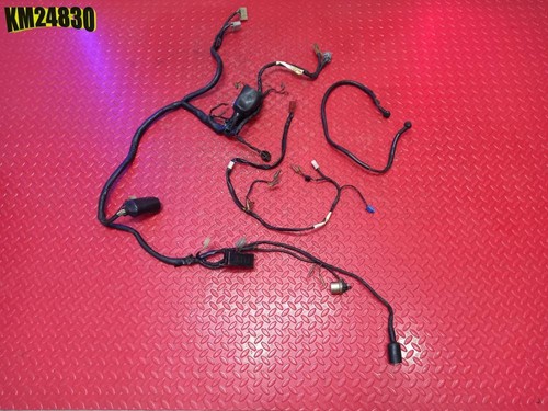 Electrical system yamaha tdm - electrical,