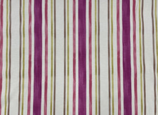 PIER Stripe Cotton Fabric
