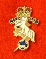 Small REME Enamel Lapel Collar