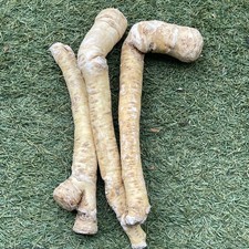 Fresh Horseradish Root 500g
