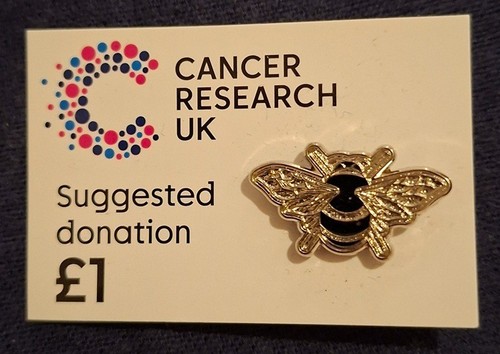 Cancer research silver bee pin - research,