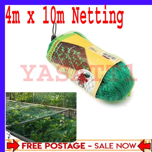 10m garden bean and - x, pea