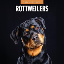 Rottweilers 2026 Square Wall