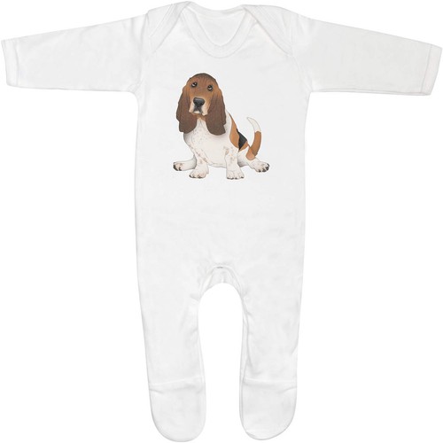 Basset hound dog - hound, sitting'