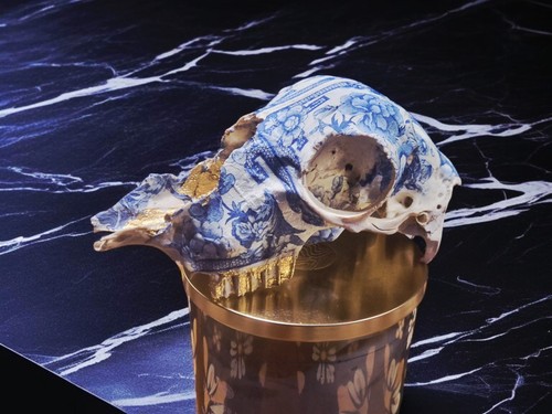 Black face sheep skull - face,
