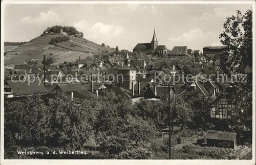 Vineyard partial view - vineyard,