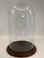Vintage Glass Dome Cloche Display