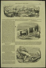 Original 1843 Epping Hunt Stag