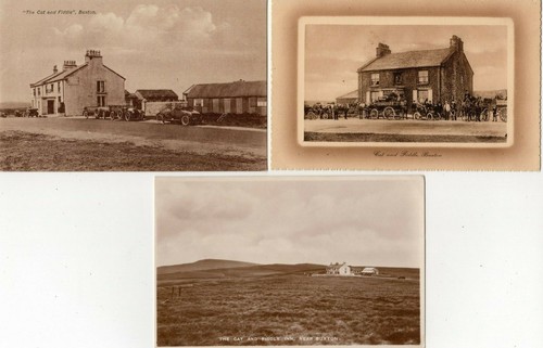 Cat fiddle inn - cat, buxton