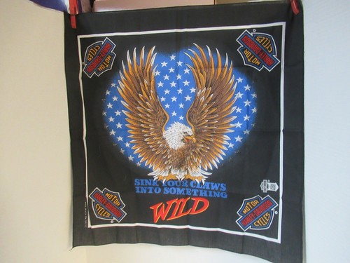 Harley davidson bandana sink - harley,