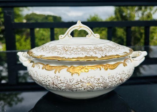 Coalport hazelton gold - hazelton,