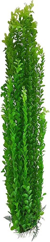 Jumbo bushy aquarium pond - jumbo, or