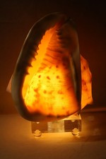 Vintage helmet conch shell - helmet,