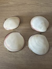 Vintage Brass And  Shell