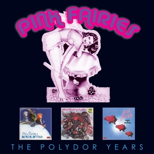Pink fairies the polydor - pink,