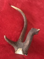 PAIR OF FANCY RED DEER ANTLERS