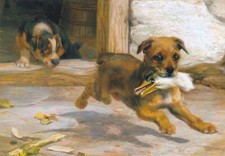 Retro Postcard ** Griffon