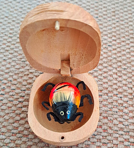 Wooden beetle insect ornament - wooden,