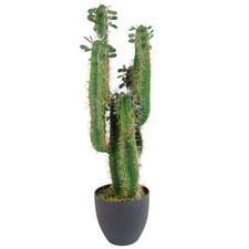Artificial Cactus Plant