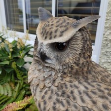 Vivid Arts - Life Size Eagle