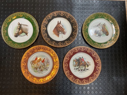 Horse equestrian 5 - horse,