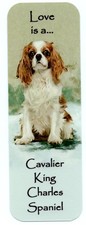 CAVALIER KING CHARLES SPANIEL