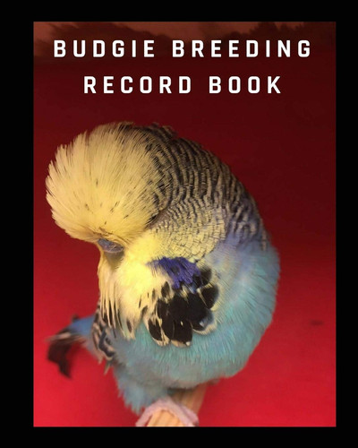 Budgie breeding record - budgie, book