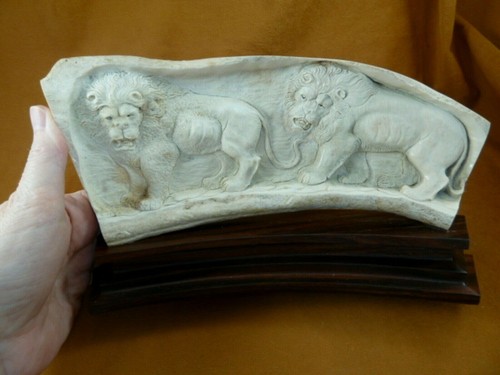 Lion male - lion-10, lions