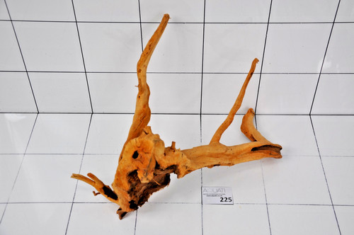Premium aquarium natural wood - premium,