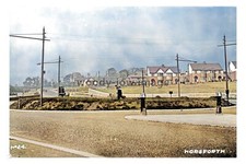 ptc9273 - Yorks - Early view