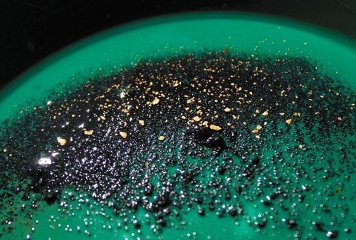 California gold paydirt - lb,