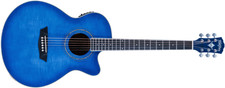 Washburn EA15TBL Electro